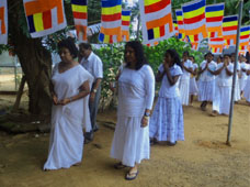 Ramya Horticulture