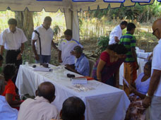 Ramya Horticulture