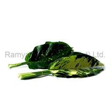 Ramya Horticulture